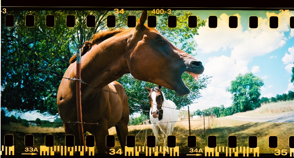 582728_478818065476181_184549245_n