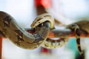 CineStill 50Daylight film-example4