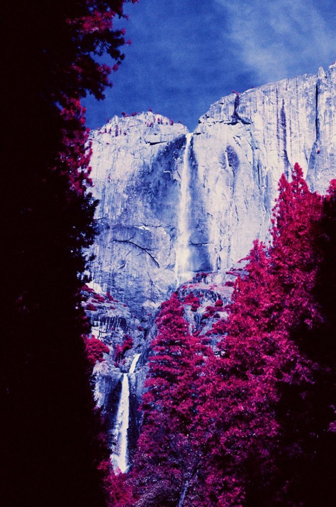 Infrared Film Photography IR Film How To, Tips & Filters The Darkroom