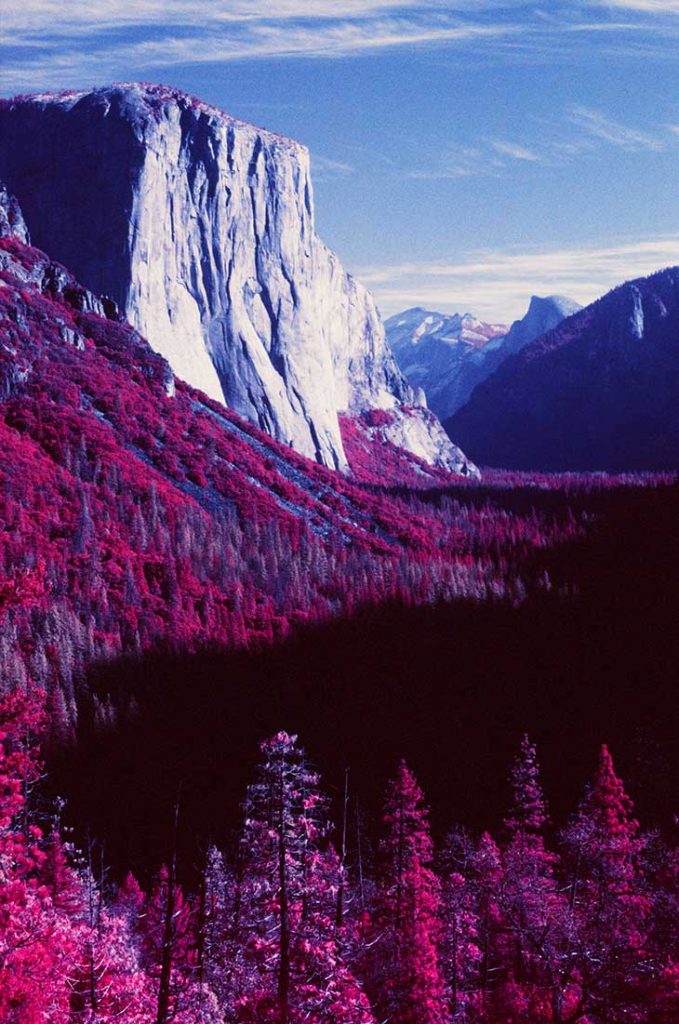 Infrared Film Photography IR Film How To, Tips & Filters The Darkroom