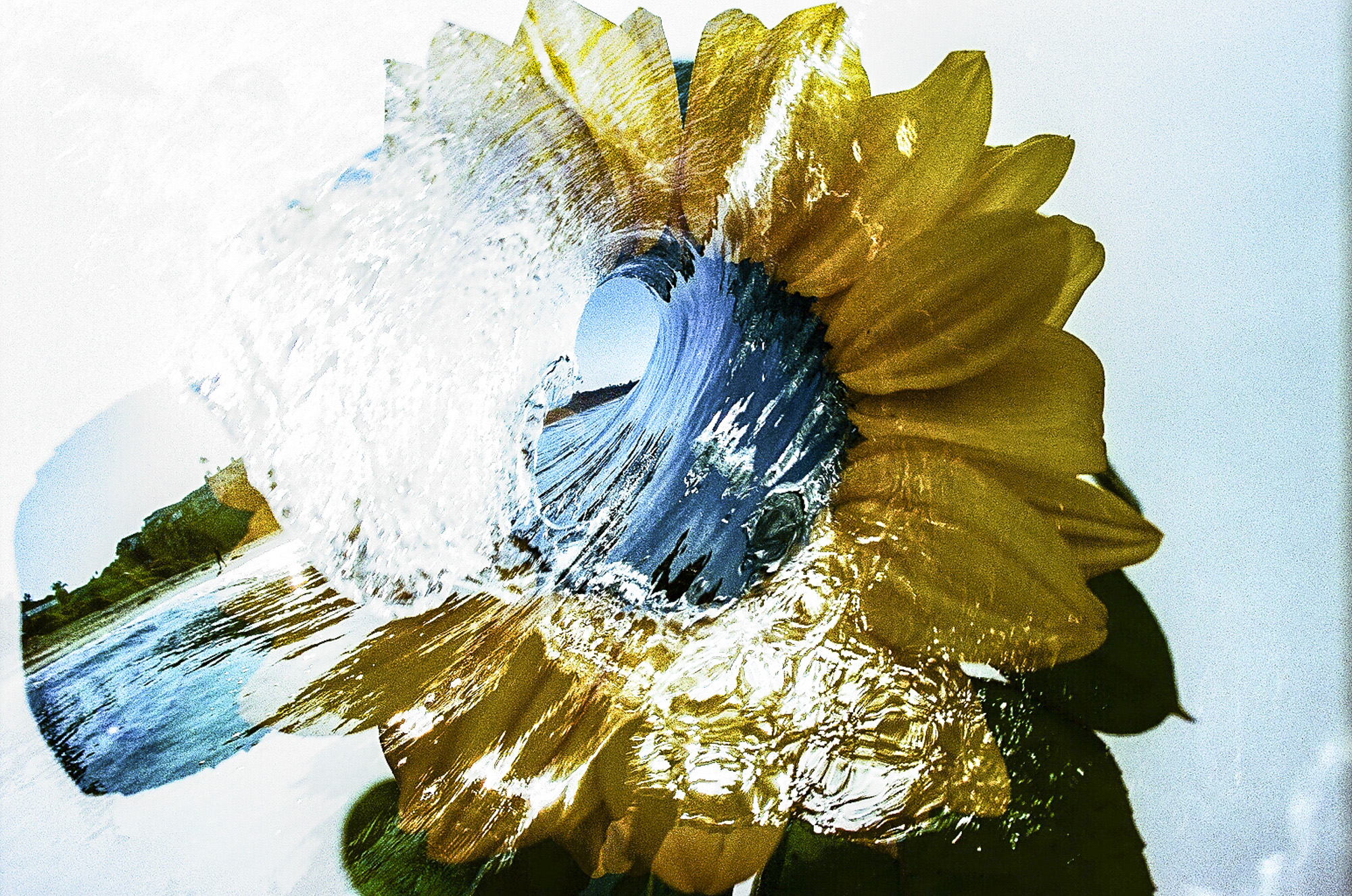 Double Exposure Film Photography At Lola Goll Blog