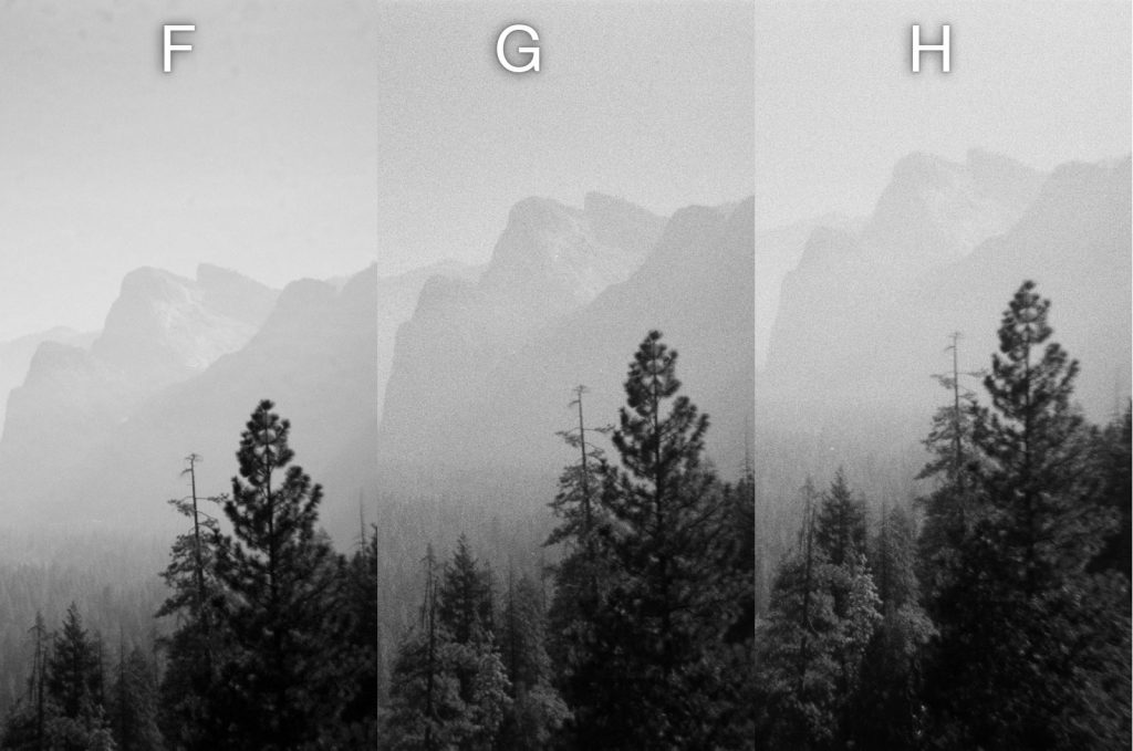Disposable Single Use Cameras B&W Photo Comparison - Landscape