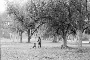 Rollei Ortho 25 Plus