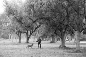 Kodak TMAX 100 (Pan)