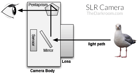 SLR Camera - How it works