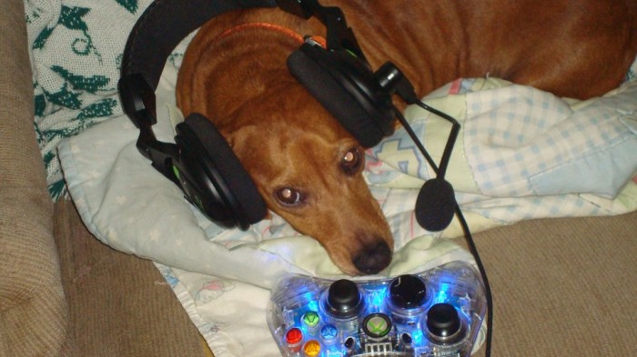 546524_296277137160286_1524926010_n